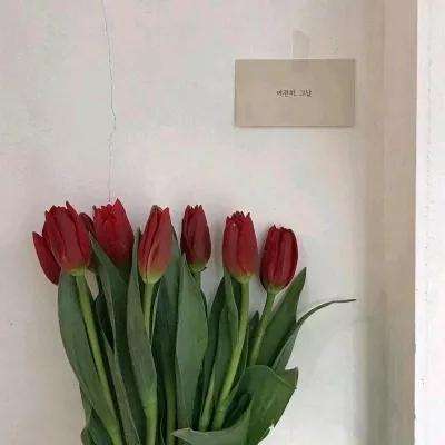 热血之怒ol官方下载